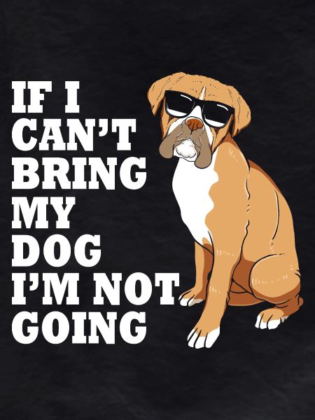 Boxer Dog