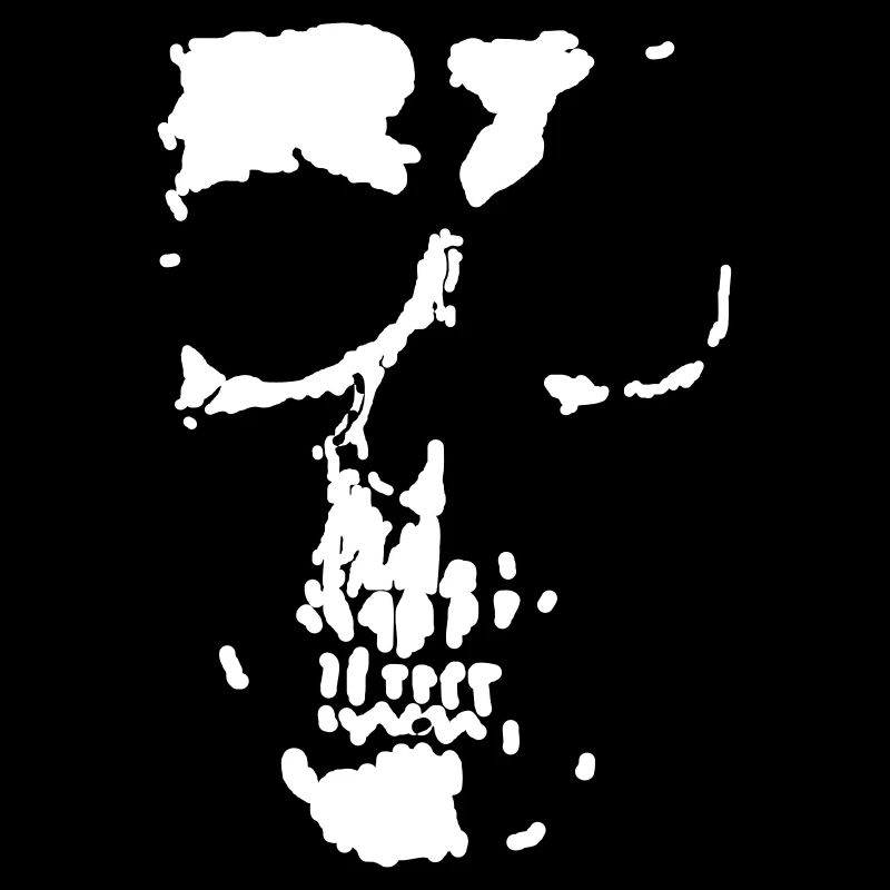 Shadow Skull