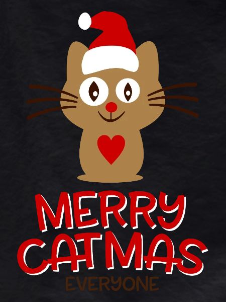 Cat Christmas