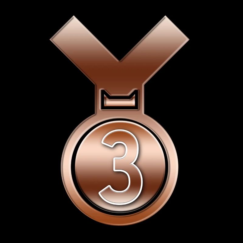 3e place Médaille du prix de réussite de bronze