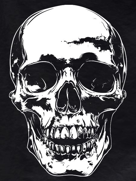 Skull