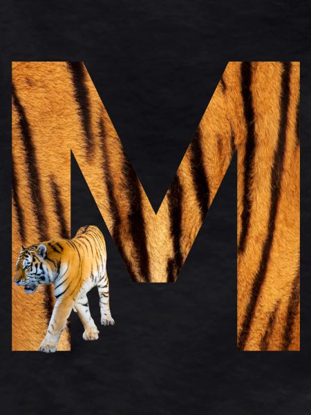 tiger m
