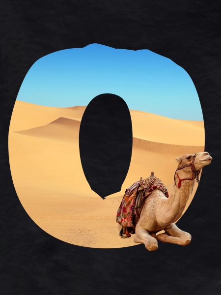desert with camel o