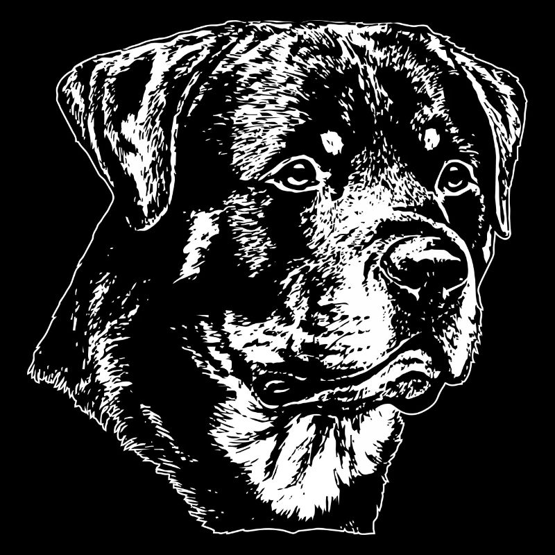 Chien Rottweiler