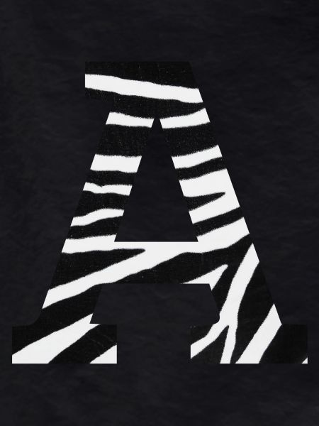 Letter to zebra