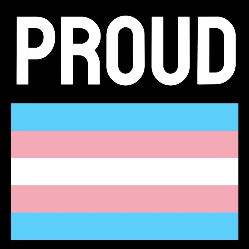 Trans Pride Transpride Flagge Stolz