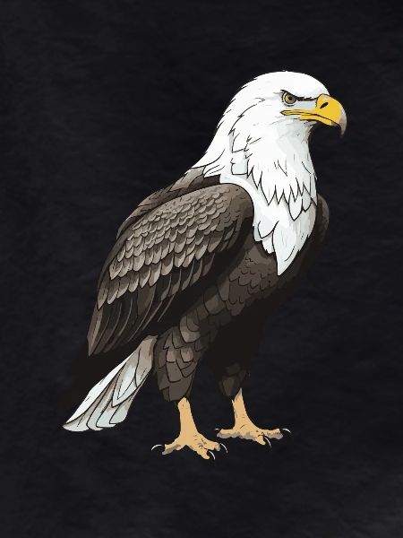 Eagle Animal