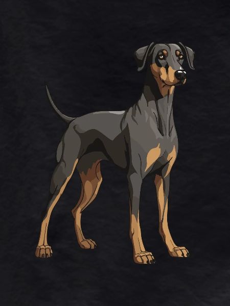 Doberman Dog