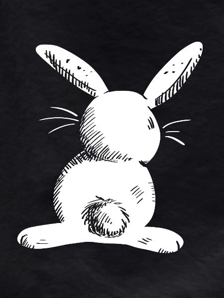 White long eared hare comic