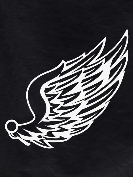Wings with dynamic feather drawing