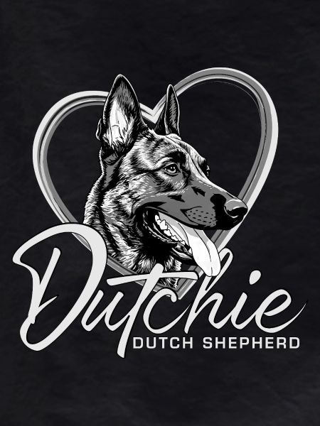 Dutch Shepherd Dog