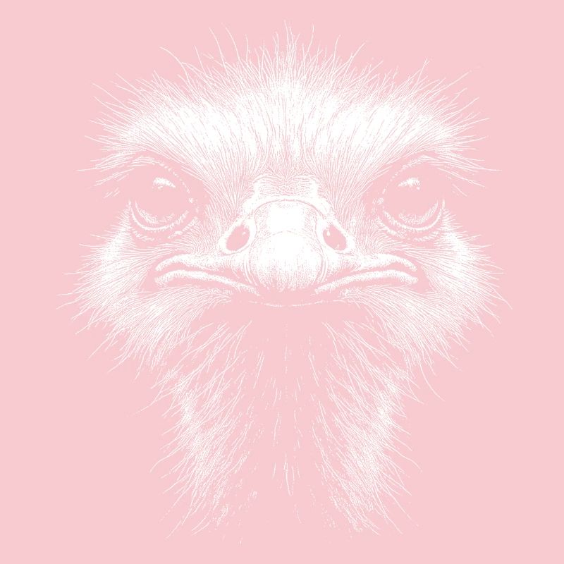 Ostrich Head