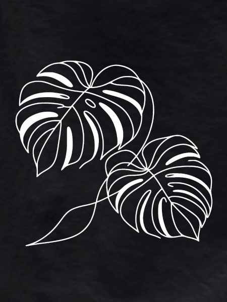Monstera Deux Feuilles Blanches