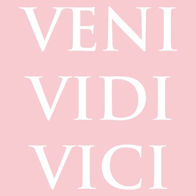 Veni Vidi Vici Bold Phrase