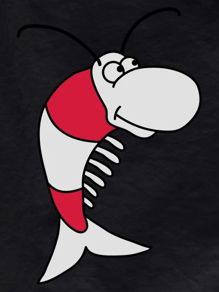 Shrimp