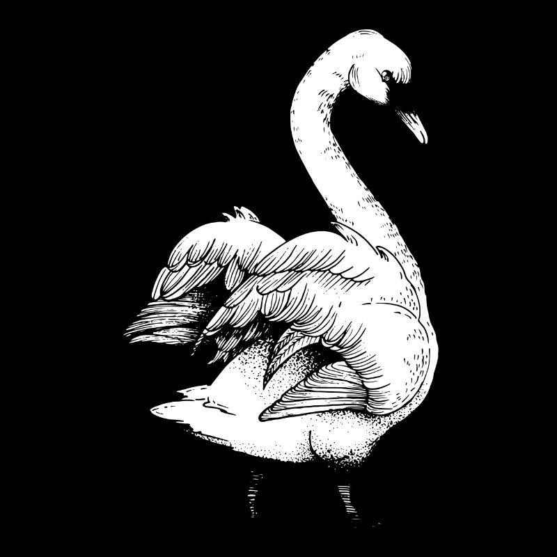 Schwan