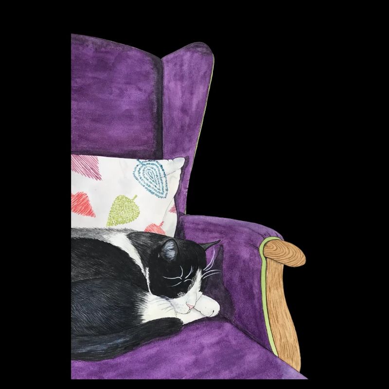 swarz chat blanc dans le fauteuil