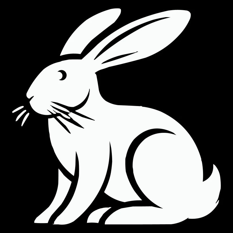 Lapin Lapin Animal