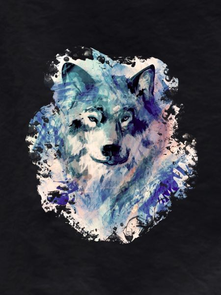 Wolf in the North