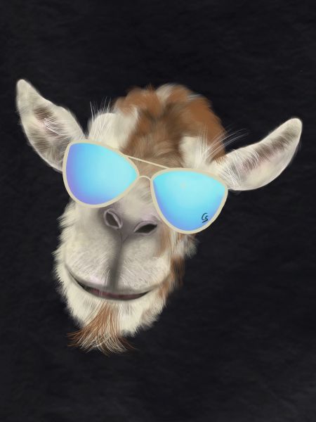 Casual goat head with sunglasses