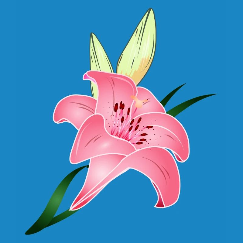 fleur de lys rose avec deux bourgeons