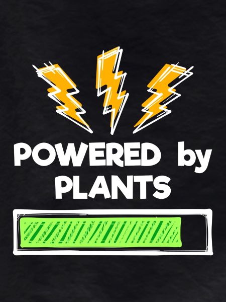 Environmentally Conscious Vegan Statement