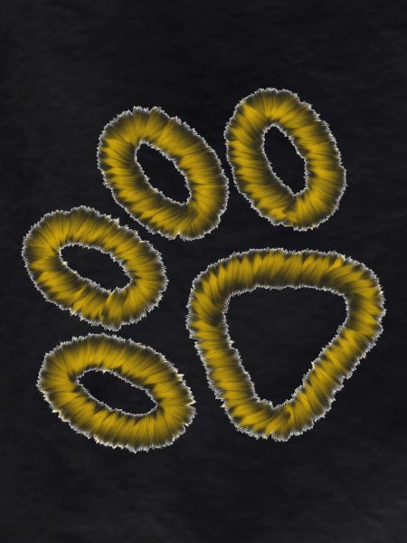 golden tiger paw