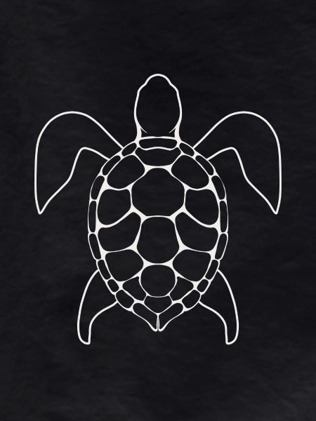 Turtle Lineart