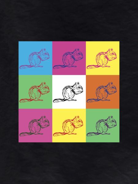 Squirrel Design