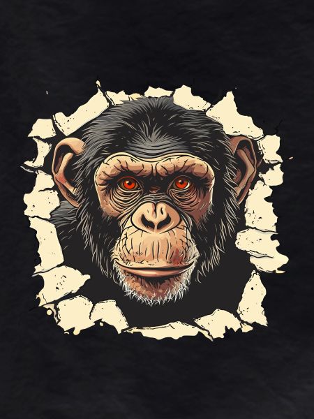 monkey, monkey head, chimpanzee, monkey