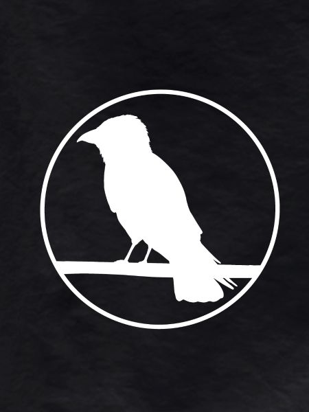 Crow on a branch