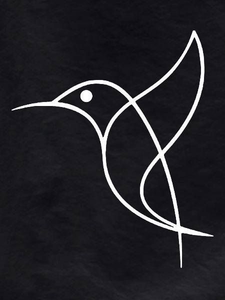 Sketch of a White Bird