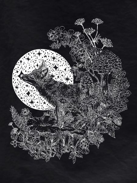 FOX & NIGHT SKY