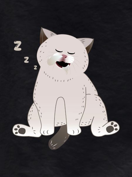 sleeping cat