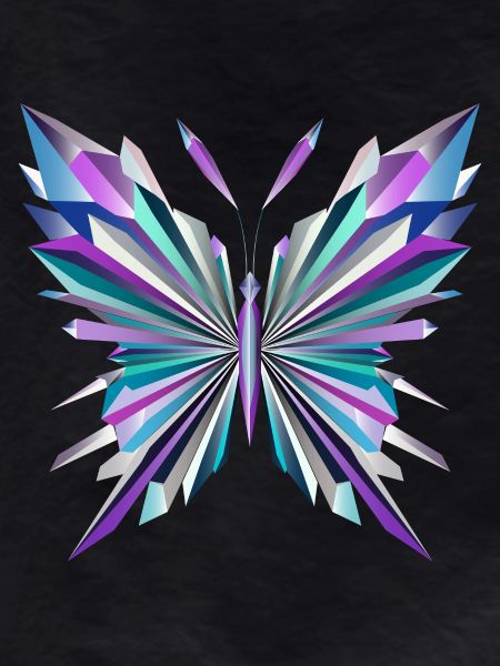 Fascinating geometry – abstract butterfly