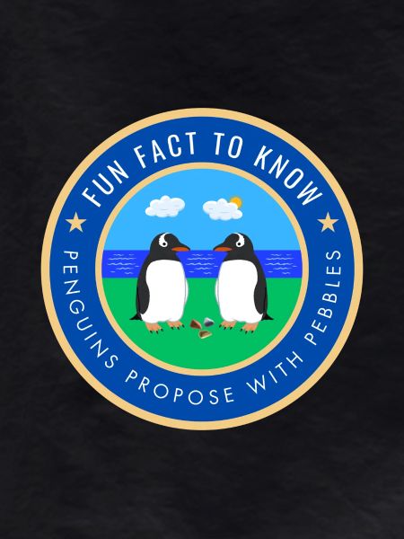 Penguins propose with pebbles