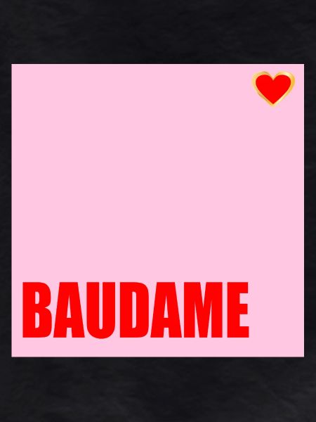 CLIENT BAUDAME HAUSBAU HERZ