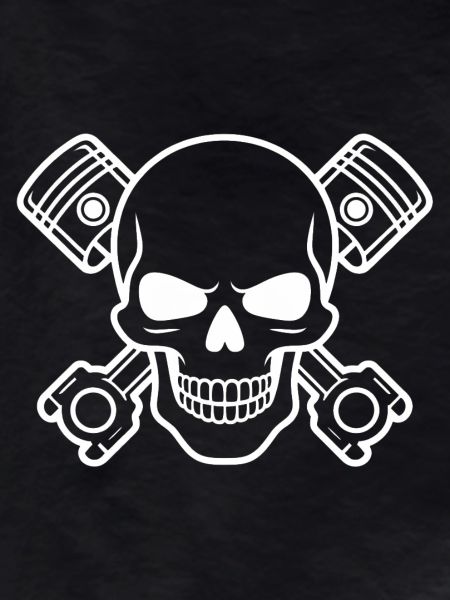 Skull with piston cross