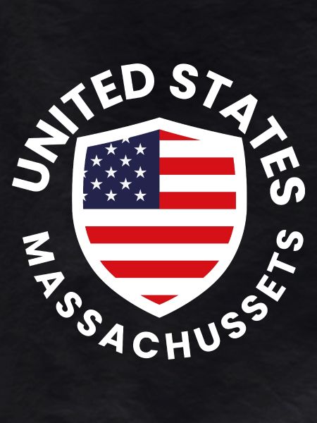 American shield with flag design