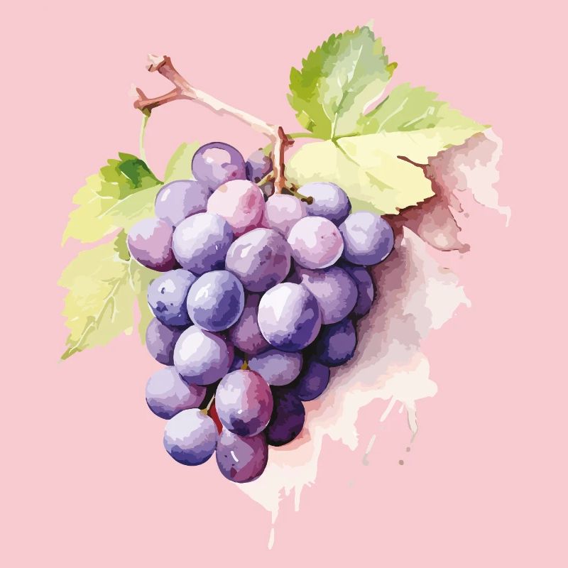 Grappe d’aquarelle de raisins