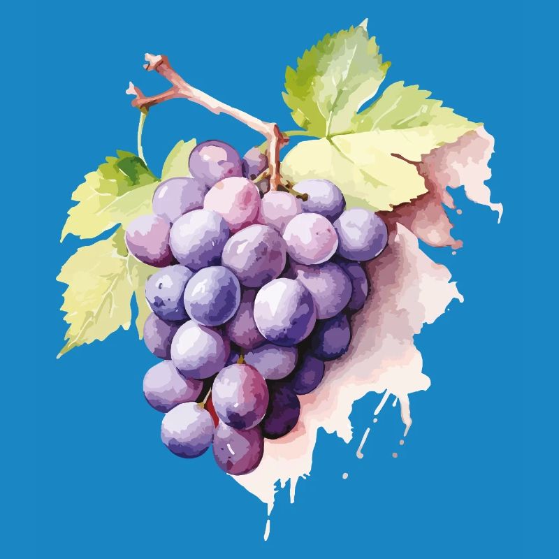 Grappe d’aquarelle de raisins