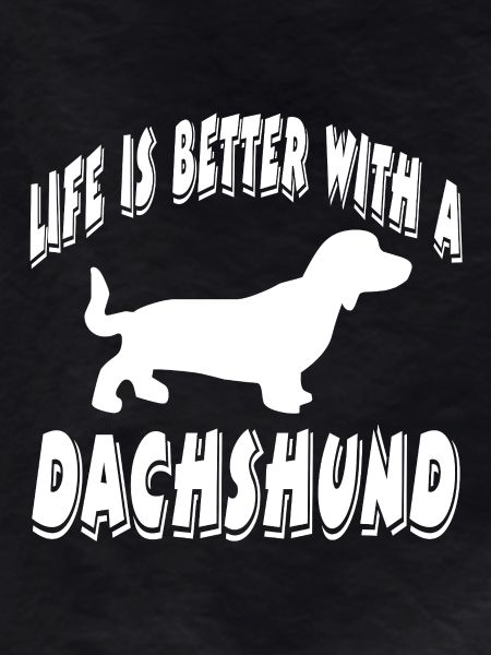 Dachshund