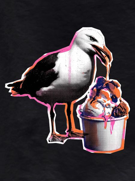 Möwe Isst Eis