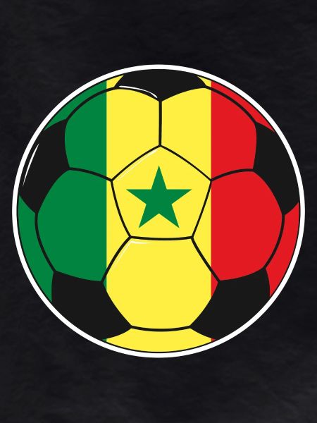 Football team Senegal