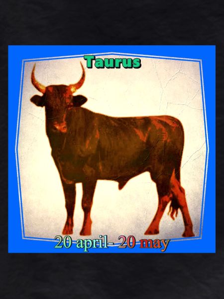 taureau