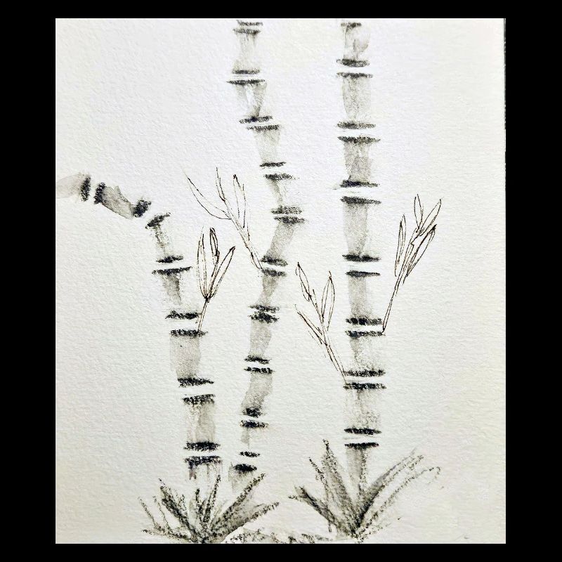 Dessin en bambou à l’encre