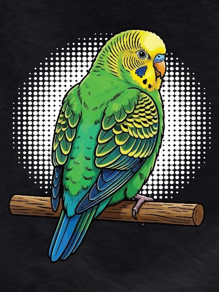Budgerigars Budgie Owners Budgies
