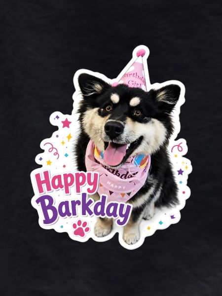 Happy Barkday Finnish Lapphund