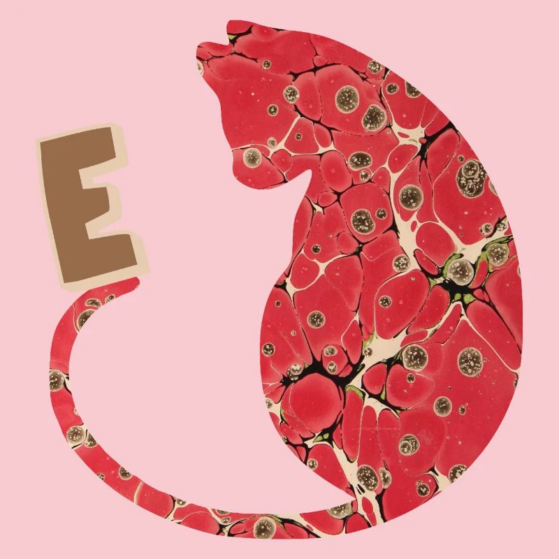 Lettre E avec Cat E 245