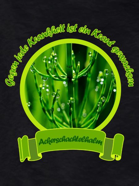 field horsetail